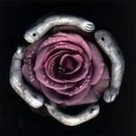 Beauty Keeps Laying Its Sharp Knife Against Me CD Cover