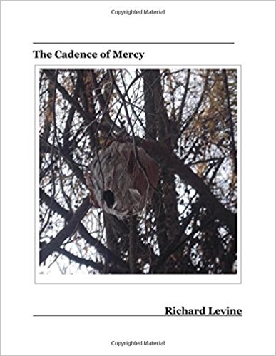 The Cadence of Mercy by Richard Levine